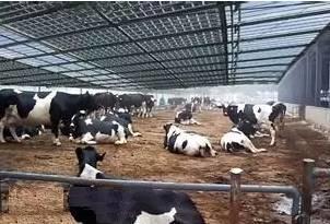 太陽能光伏并網(wǎng)發(fā)電的應(yīng)用場景有哪些？