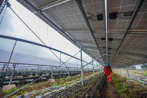 中國十三省最大光伏電站在這里！欽州康熙嶺的光伏電站能排上號了嗎？